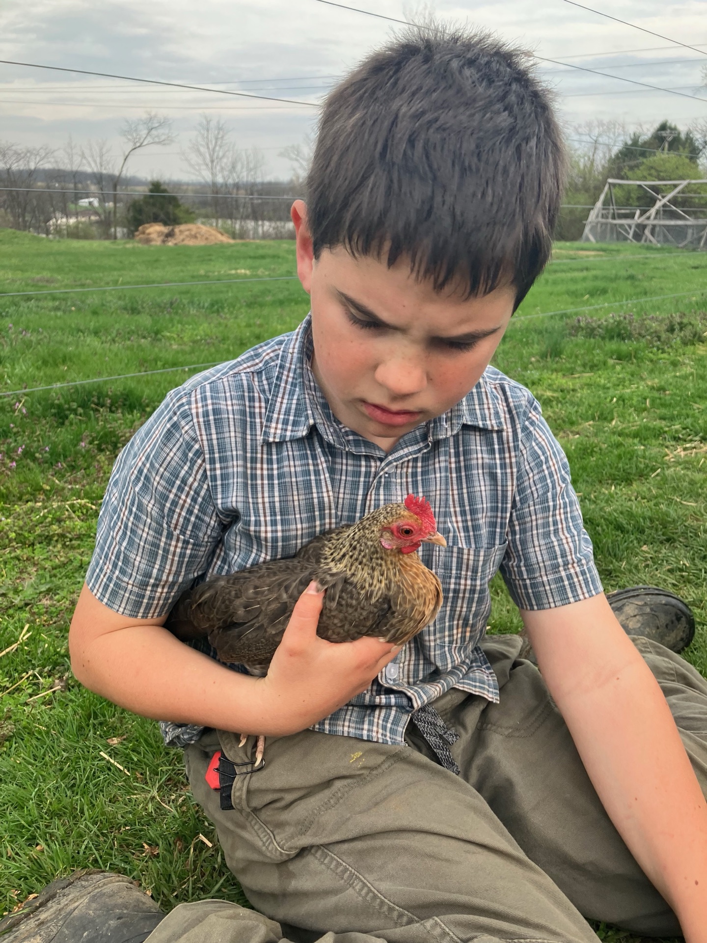 Life on the farm