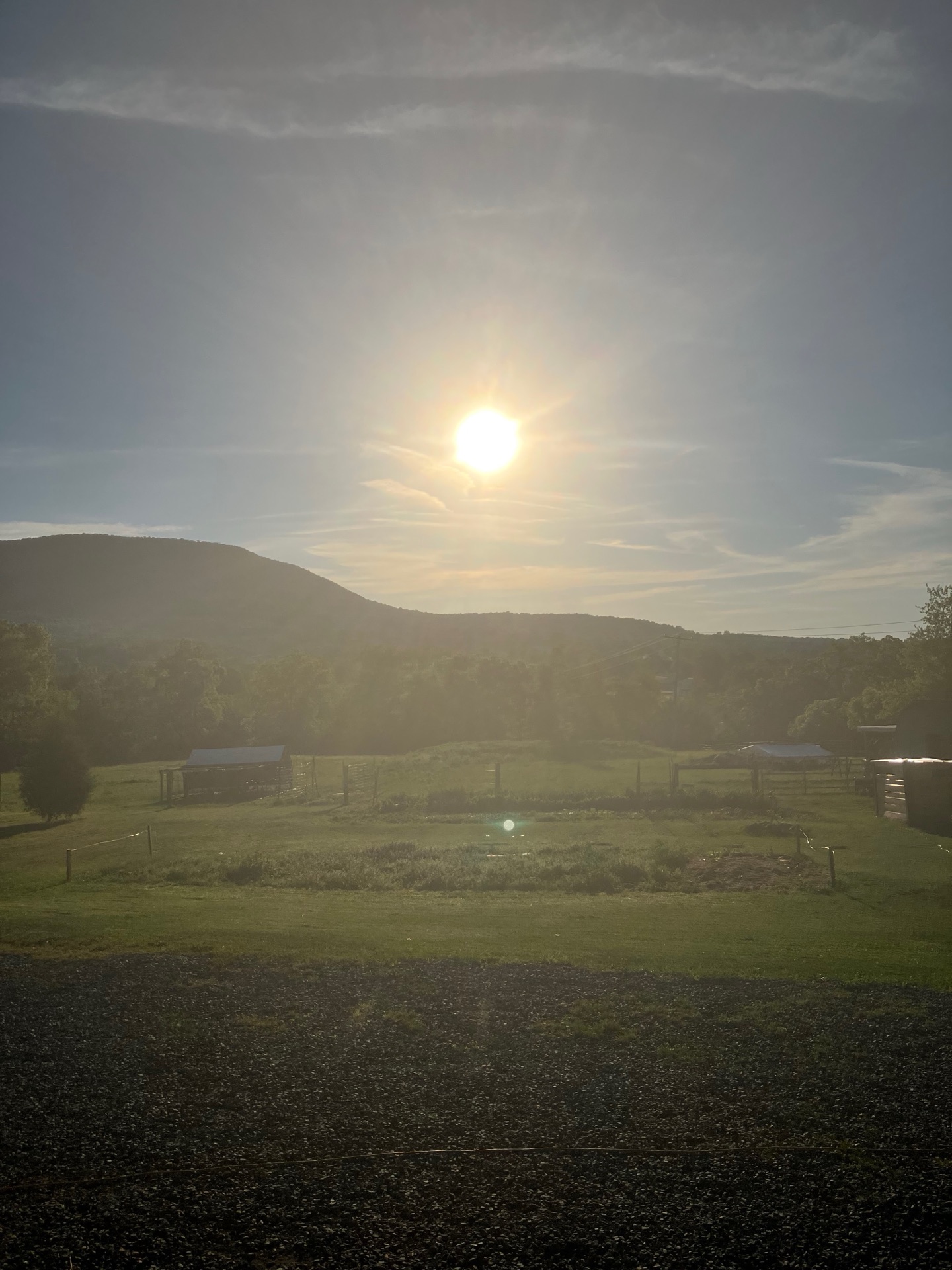 Sunrise on the farm
